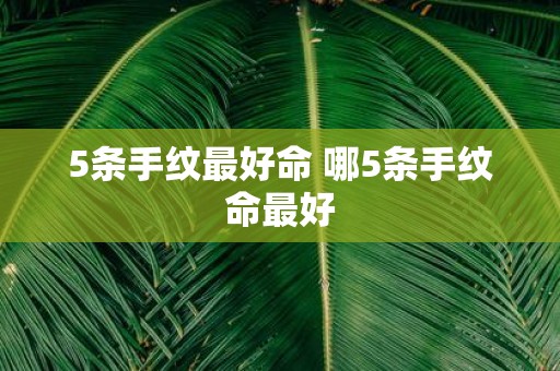 5条手纹最好命 哪5条手纹命最好