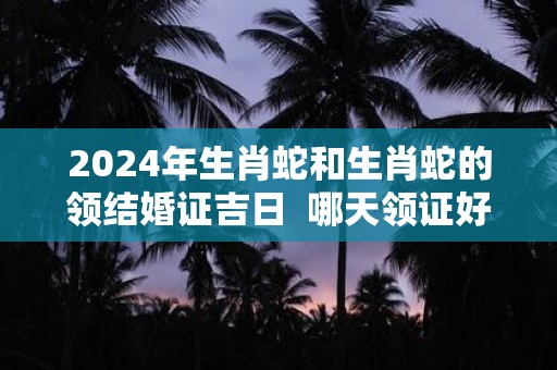 2025年生肖蛇和生肖蛇的领结婚证吉日 哪天领证好