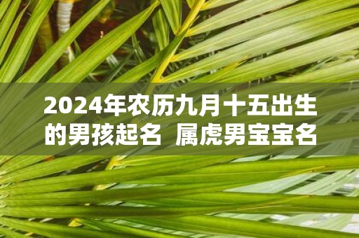 2025年农历九月十五出生的男孩起名 属虎男宝宝名字大全
