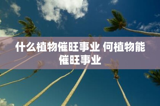 什么植物催旺事业 何植物能催旺事业