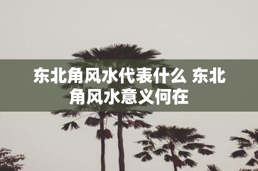 东北角风水代表什么 东北角风水意义何在
