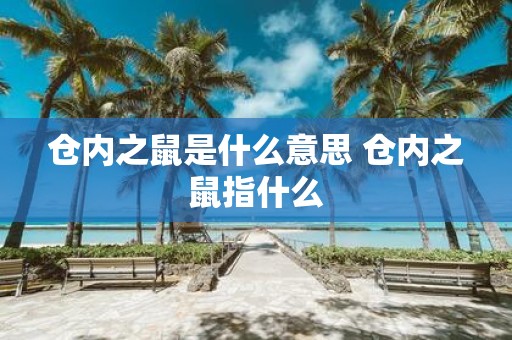 仓内之鼠是什么意思 仓内之鼠指什么