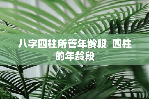 八字四柱所管年龄段 四柱的年龄段