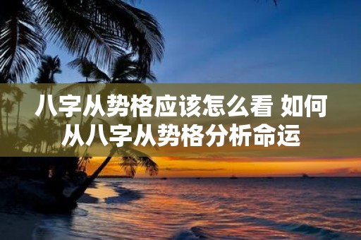 八字从势格应该怎么看 如何从八字从势格分析命运