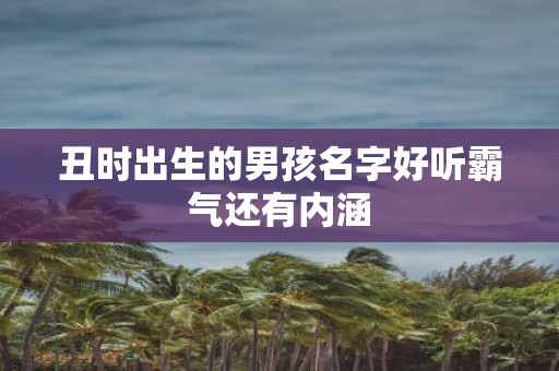 丑时出生的男孩名字好听霸气还有内涵