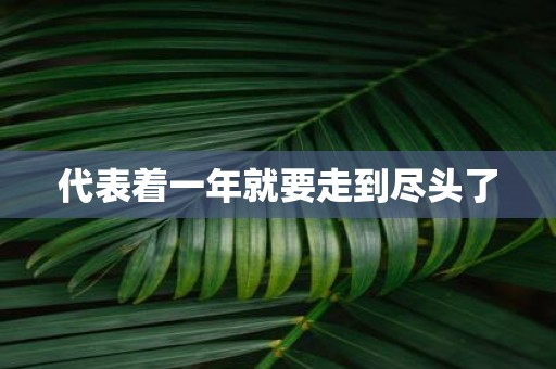 代表着一年就要走到尽头了