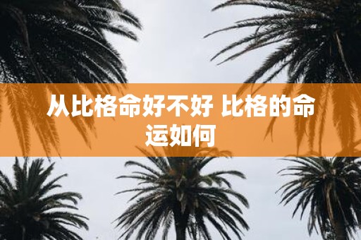 从比格命好不好 比格的命运如何