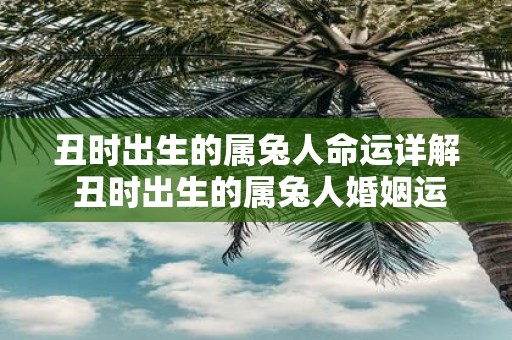 丑时出生的属兔人命运详解 丑时出生的属兔人婚姻运势