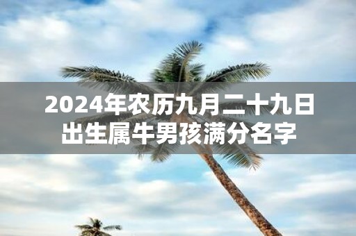 2025年农历九月二十九日出生属牛男孩满分名字