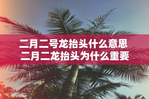 二月二号龙抬头什么意思 二月二龙抬头为什么重要