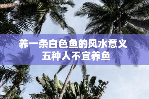 养一条白色鱼的风水意义 五种人不宜养鱼