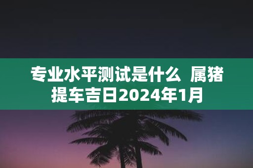 专业水平测试是什么 属猪提车吉日2025年1月