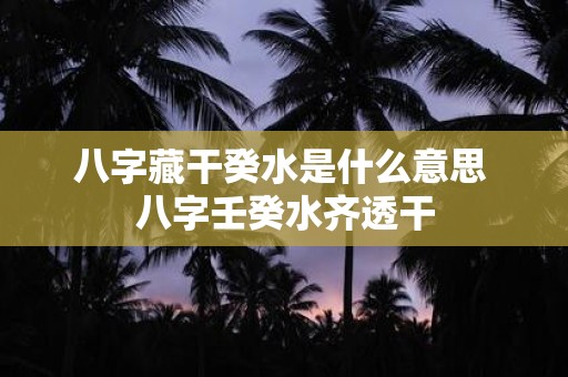 八字藏干癸水是什么意思 八字壬癸水齐透干
