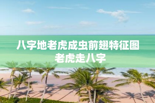 八字地老虎成虫前翅特征图 老虎走八字