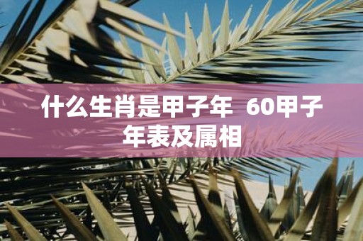 什么生肖是甲子年 60甲子年表及属相