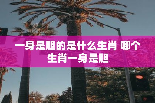 一身是胆的是什么生肖 哪个生肖一身是胆