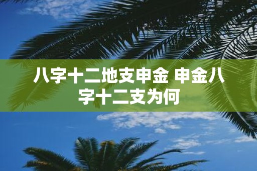 八字十二地支申金 申金八字十二支为何