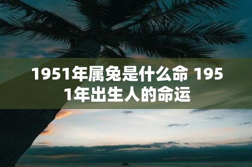 1951年属兔是什么命 1951年出生人的命运
