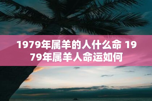 1979年属羊的人什么命 1979年属羊人命运如何