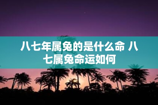 八七年属兔的是什么命 八七属兔命运如何