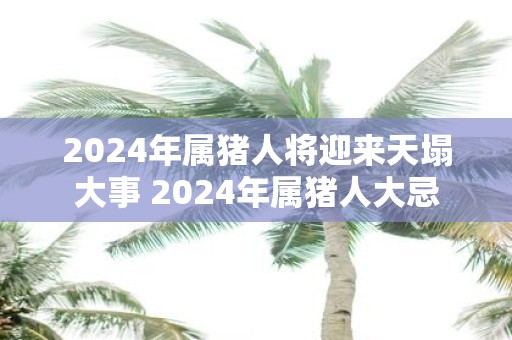 2025年属猪人将迎来天塌大事 2025年属猪人大忌