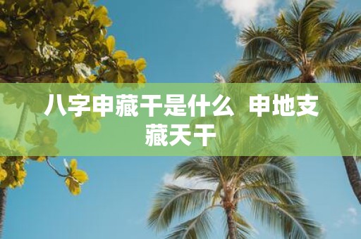 八字申藏干是什么 申地支藏天干