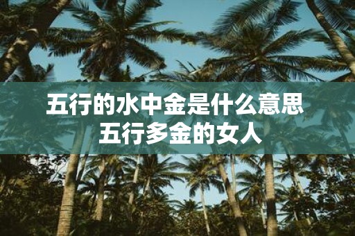 五行的水中金是什么意思 五行多金的女人