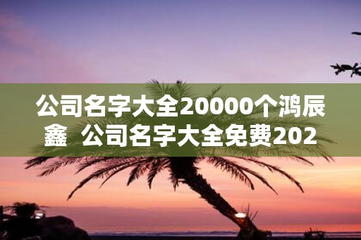 公司名字大全20000个鸿辰鑫 公司名字大全免费2025