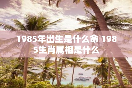 1985年出生是什么命 1985生肖属相是什么