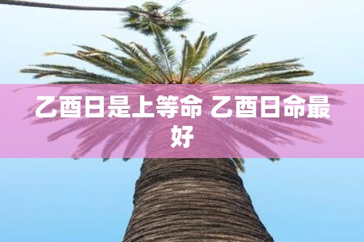 乙酉日是上等命 乙酉日命最好
