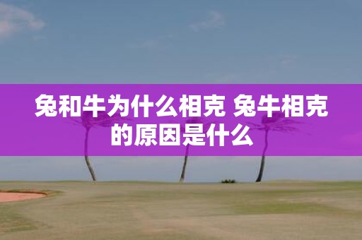 兔和牛为什么相克 兔牛相克的原因是什么