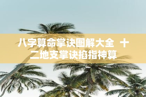 八字算命掌诀图解大全 十二地支掌诀掐指神算