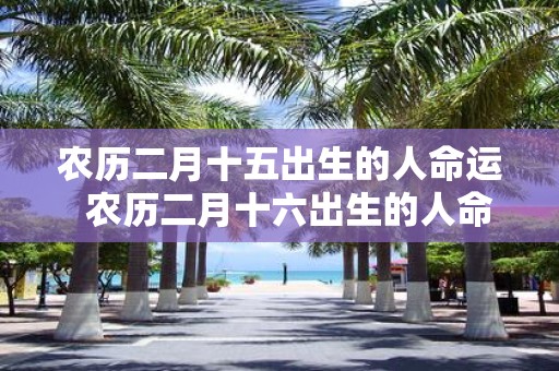 农历二月十五出生的人命运 农历二月十六出生的人命运