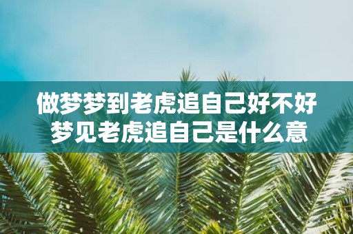 做梦梦到老虎追自己好不好 梦见老虎追自己是什么意思