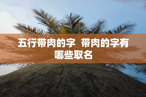 五行带肉的字 带肉的字有哪些取名