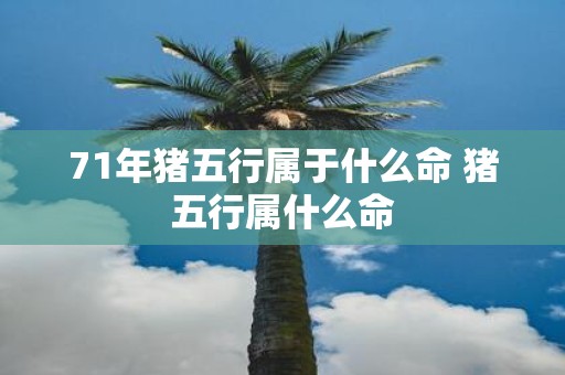 71年猪五行属于什么命 猪五行属什么命
