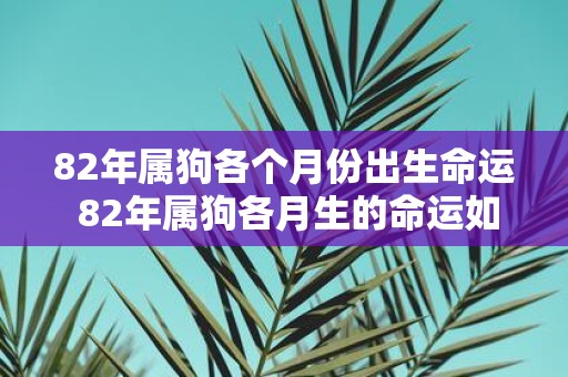82年属狗各个月份出生命运 82年属狗各月生的命运如何