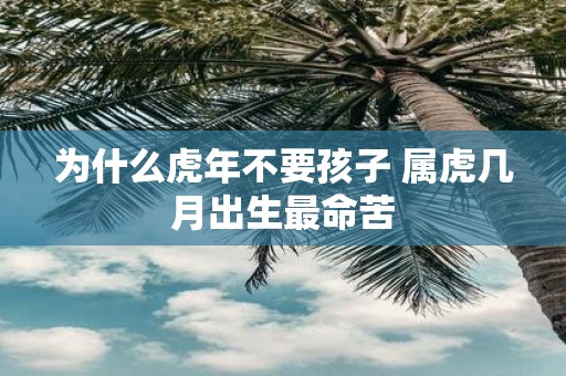 为什么虎年不要孩子 属虎几月出生最命苦