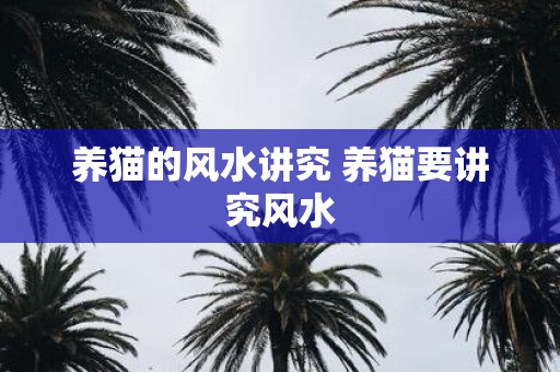 养猫的风水讲究 养猫要讲究风水