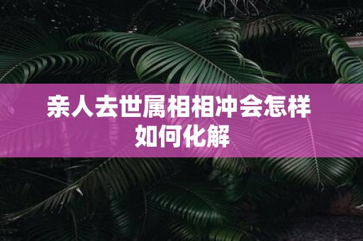 亲人去世属相相冲会怎样 如何化解