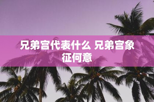 兄弟宫代表什么 兄弟宫象征何意