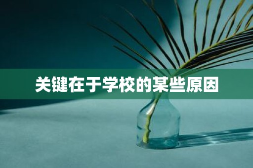 关键在于学校的某些原因