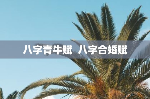 八字青牛赋 八字合婚赋