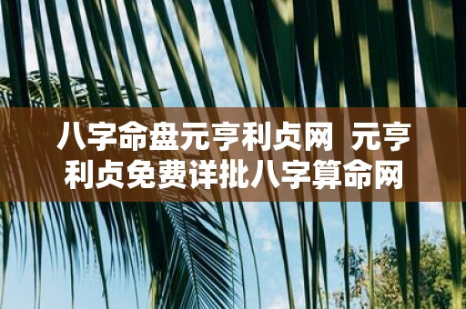 八字命盘元亨利贞网 元亨利贞免费详批八字算命网