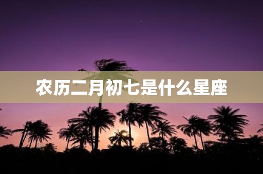 农历二月初七是什么星座
