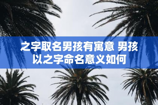 之字取名男孩有寓意 男孩以之字命名意义如何
