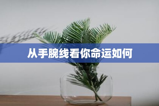 从手腕线看你命运如何