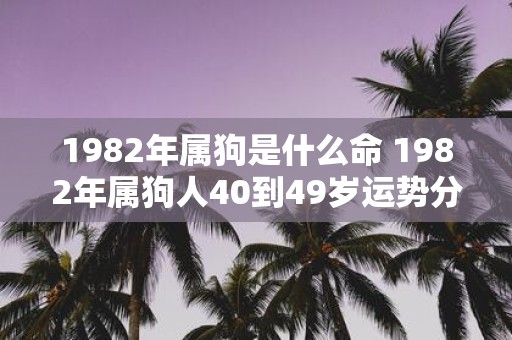 1982年属狗是什么命 1982年属狗人40到49岁运势分析