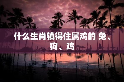什么生肖镇得住属鸡的 兔、狗、鸡