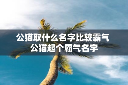 公猫取什么名字比较霸气 公猫起个霸气名字